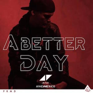 avicii-for-a-better-day