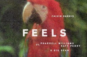 calvin-harris-feels