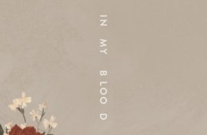 shawn-mendes-in-my-blood-