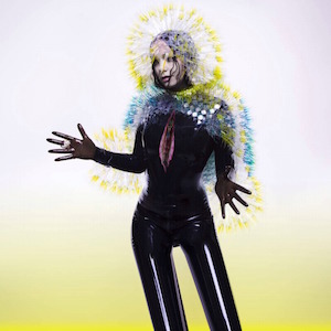 Björk – Lionsong の歌詞を和訳してみた