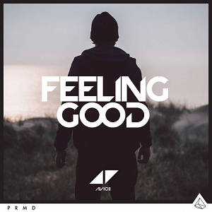 Avicii – Feeling Good 歌詞を和訳してみた