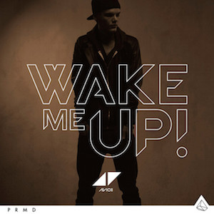 Avicii – Wake Me Up 歌詞を和訳してみた