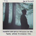 Taylor Swift – Out Of The Woods 歌詞を和訳してみた