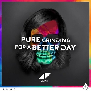 Avicii – Pure Grinding 歌詞を和訳してみた