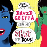 歌詞和訳！David Guetta – Shot Me Down ft Skylar Grey