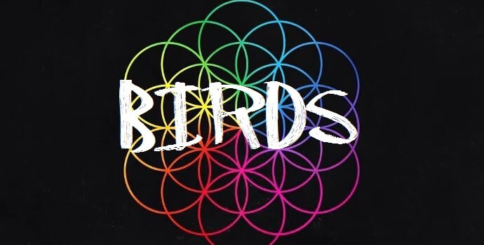 Coldplay – Birds 歌詞を和訳してみた