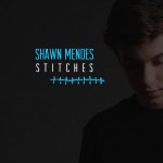 Shawn Mendes – Stitches 歌詞を和訳してみた