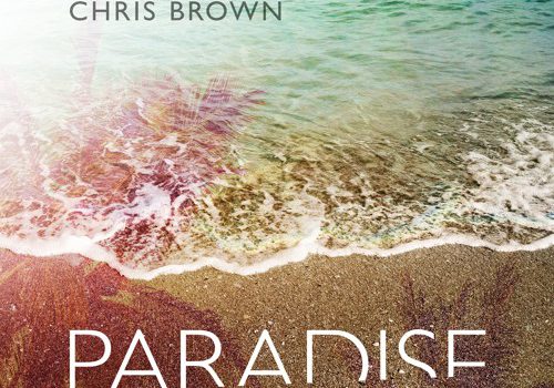 Benny Benassi & Chris Brown – Paradise 歌詞を和訳してみた