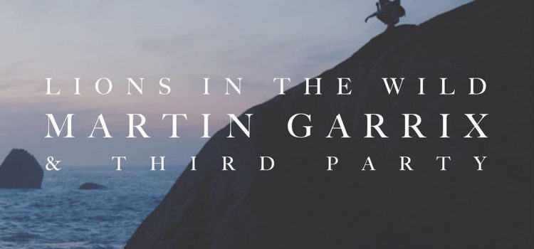 Martin Garrix – Lions In The Wild 歌詞を和訳してみた