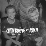 歌詞和訳！Otto Knows ft. Avicii – Back Where I Belong