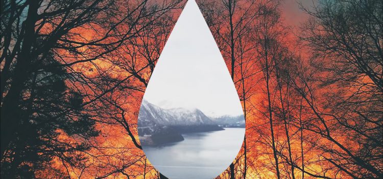 Clean Bandit – Tears ft. Louisa Johnson 歌詞を和訳してみた