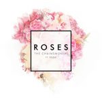 The Chainsmokers – Roses ft. ROZES 歌詞を和訳してみた