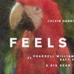 歌詞和訳 Calvin Harris – Feels ft Pharrell Williams