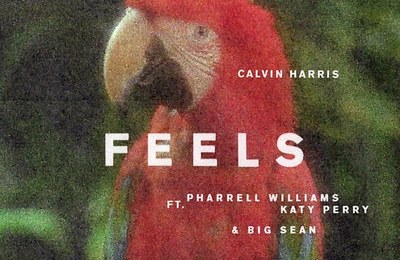 歌詞和訳 Calvin Harris – Feels ft Pharrell Williams