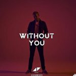 Avicii – Without You ft Sandro Cavazza 歌詞を和訳してみた