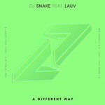 DJ Snake, Lauv – A Different Way 歌詞を和訳してみた