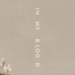 Shawn Mendes – In My Blood 歌詞を和訳してみた