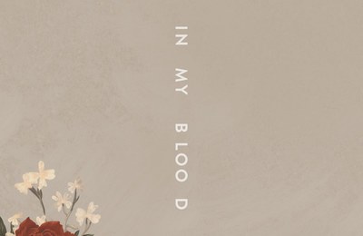 Shawn Mendes – In My Blood 歌詞を和訳してみた