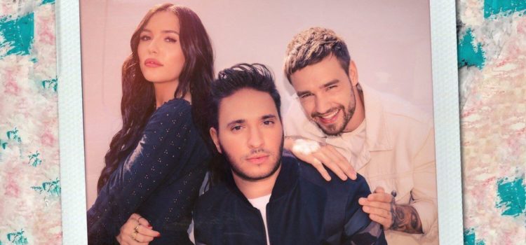 Jonas Blue, Liam Payne – Polaroid 歌詞を和訳してみた